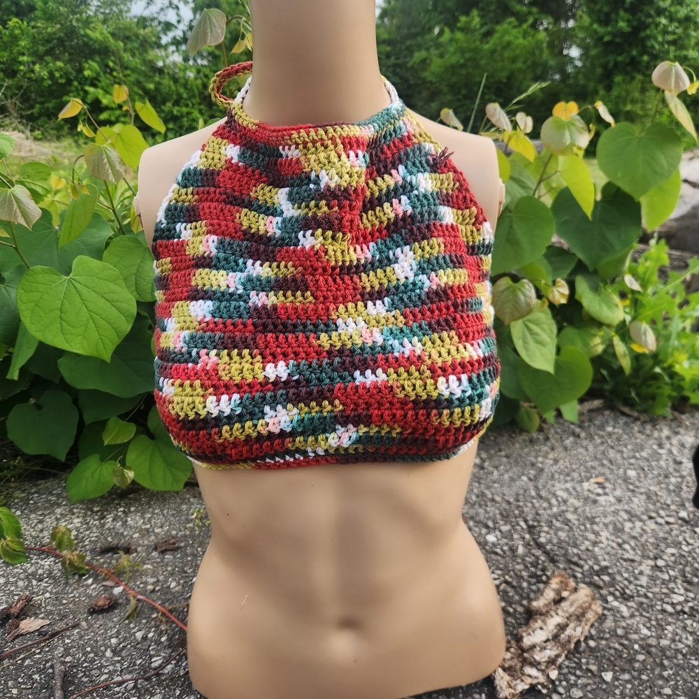 Handmade Multicolor Crochet Halter Crop Top